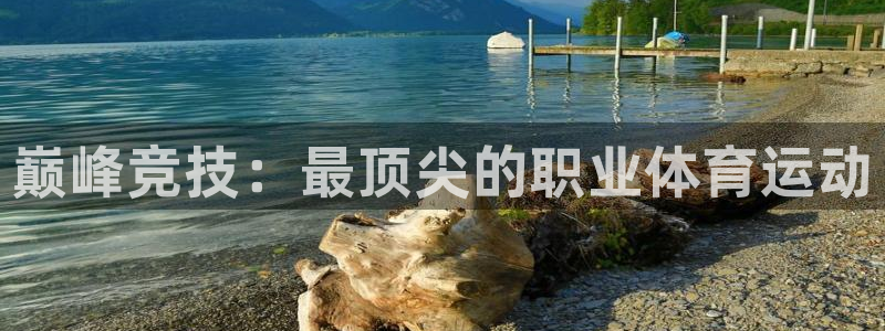 kok中欧体育：巅峰竞技：最顶尖的职业体育运动