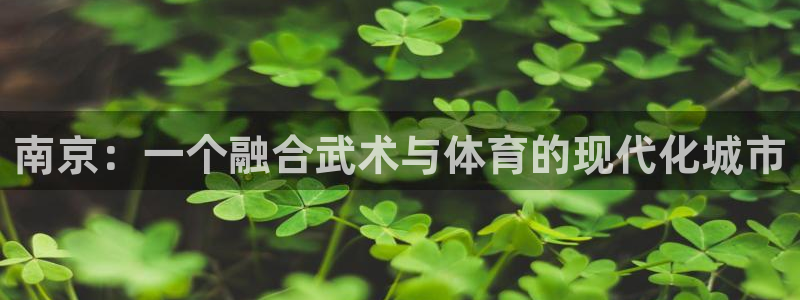 中欧体育kok官网首页：南京：一个融合武术与体育的现代化城市
