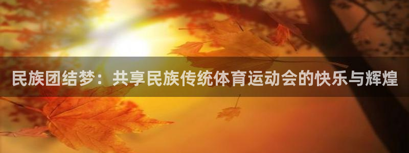 中欧体育下载：民族团结梦：共享民族传统体育运动会的快乐与辉煌