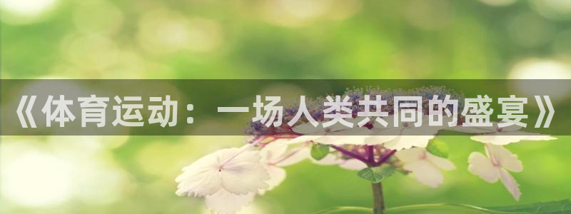 kok新版中欧体育：《体育运动：一场人类共同的盛宴》