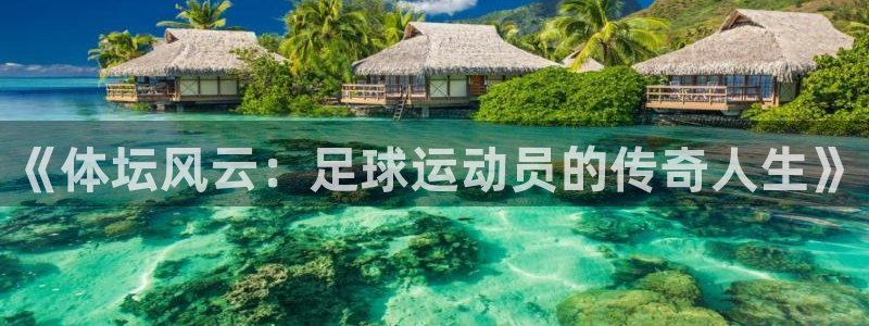 中欧体育最新地址：《体坛风云：足球运动员的传奇人生》