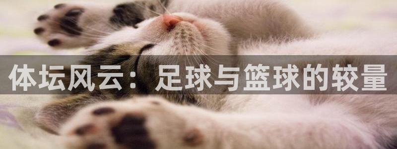 中欧体育网址：体坛风云：足球与篮球的较量