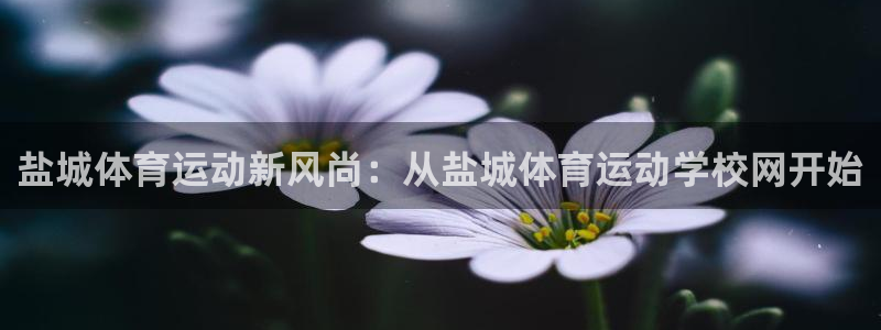 中欧体育网站：盐城体育运动新风尚：从盐城体育运动学校网开始