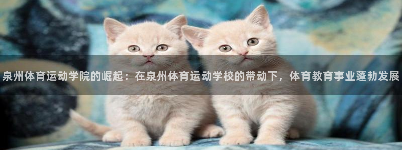 中欧体育app：泉州体育运动学院的崛起：在泉州体育运动学校的带动下，体育教育事业蓬勃发展