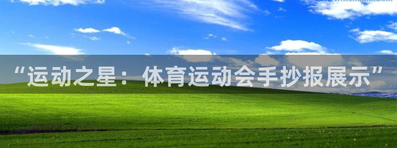 kok中欧体育：“运动之星：体育运动会手抄报展示”