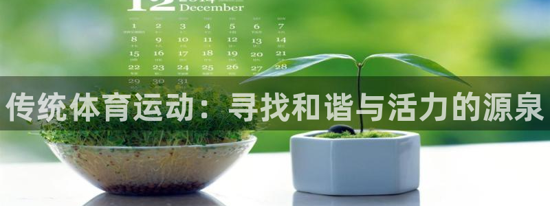 中欧体育网页版：传统体育运动：寻找和谐与活力的源泉