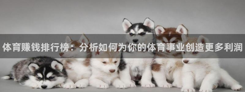 中欧体育：体育赚钱排行榜：分析如何为你的体育事业创造更多利润