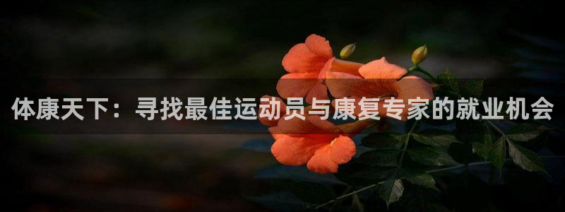 中欧体育：体康天下：寻找最佳运动员与康复专家的就业机会