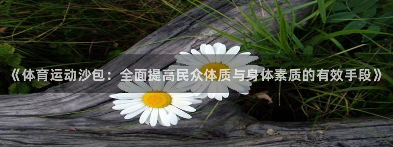中欧体育李勇鸿：《体育运动沙包：全面提高民众体质与身体素质的有效手段》
