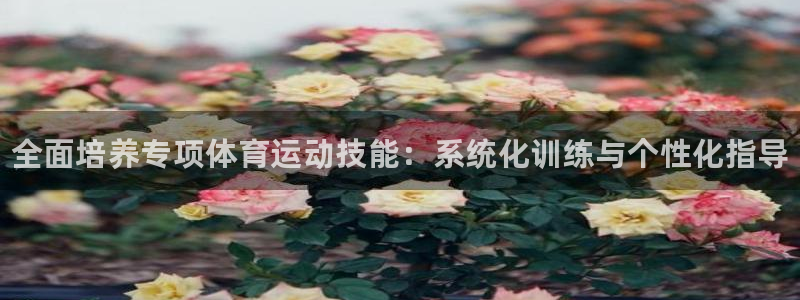 中欧体育客服：全面培养专项体育运动技能：系统化训练与个性化指导
