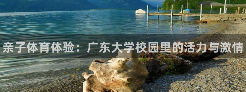 中欧体育ios：亲子体育体验：广东大学校园里的活力与激情