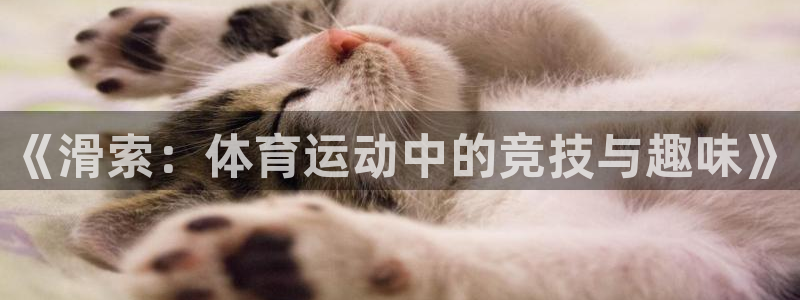 中欧体育集团：《滑索：体育运动中的竞技与趣味》