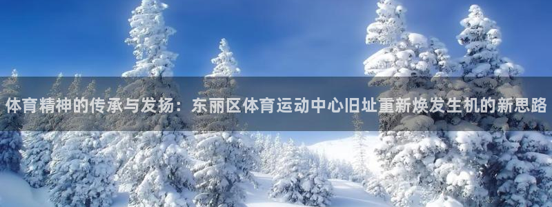 中欧体育ios：体育精神的传承与发扬：东丽区体育运动中心旧址重新焕发生机的新思路