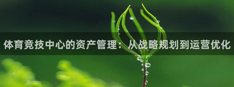 中欧体育网站：体育竞技中心的资产管理：从战略规划到运营优化