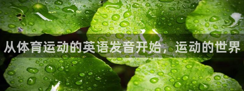 中欧体育集团：从体育运动的英语发音开始，运动的世界