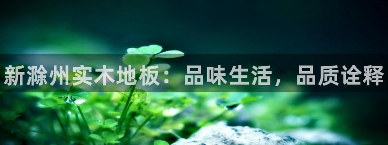 kok中欧体育：新滁州实木地板：品味生活，品质诠释