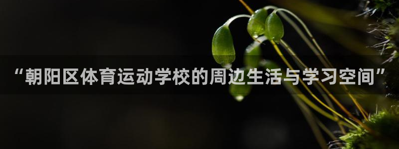 中欧体育网页版：“朝阳区体育运动学校的周边生活与学习空间”