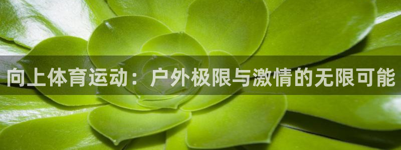 中欧体育ac米兰：向上体育运动：户外极限与激情的无限可能
