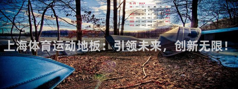 中欧体育ac米兰：上海体育运动地板：引领未来，创新无限！