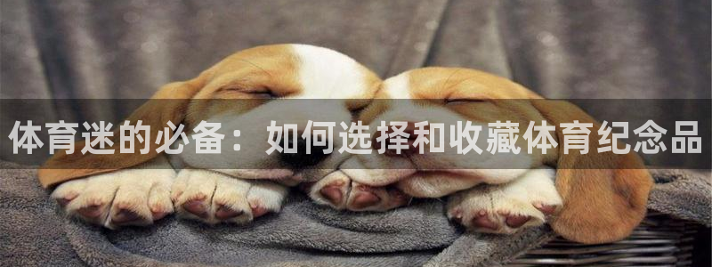 中欧体育zoty下载：体育迷的必备：如何选择和收藏体育纪念品