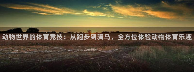 中欧体育官网：动物世界的体育竞技：从跑步到骑马，全方位体验动物体育乐趣