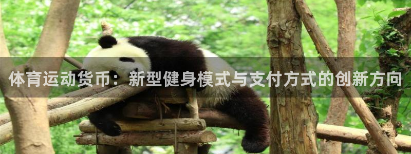 中欧体育官网：体育运动货币：新型健身模式与支付方式的创新方向