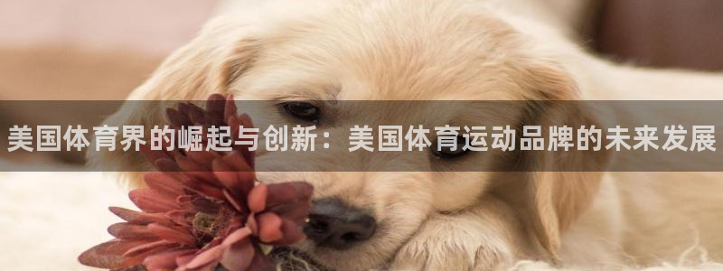 zoty中欧体育网址多少：美国体育界的崛起与创新：美国体育运动品牌的未来发展