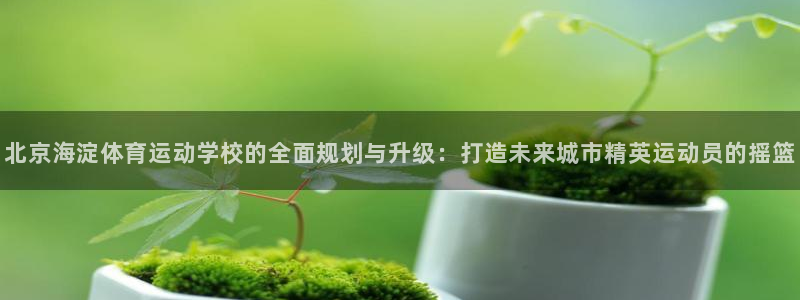 kok新版中欧体育：北京海淀体育运动学校的全面规划与升级：打造未来城市精英运动员的摇篮