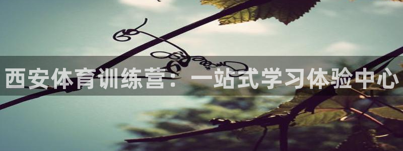 zoty中欧体育：西安体育训练营：一站式学习体验中心