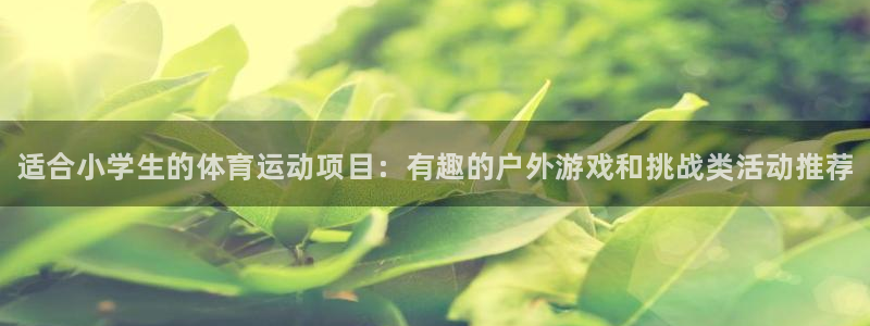 中欧体育官网：适合小学生的体育运动项目：有趣的户外游戏和挑战类活动推荐