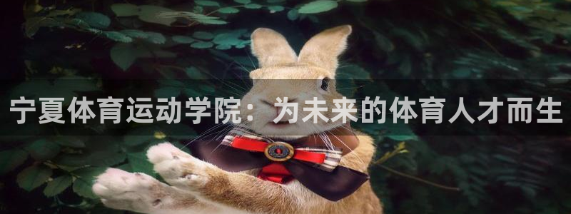 中欧体育李勇鸿：宁夏体育运动学院：为未来的体育人才而生