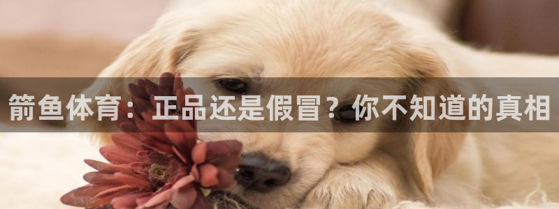 中欧体育网站：箭鱼体育：正品还是假冒？你不知道的真相