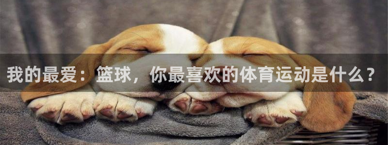 中欧体育网站：我的最爱：篮球，你最喜欢的体育运动是什么？