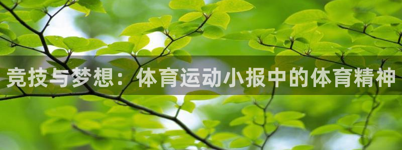 中欧体育网页登录：竞技与梦想：体育运动小报中的体育精神