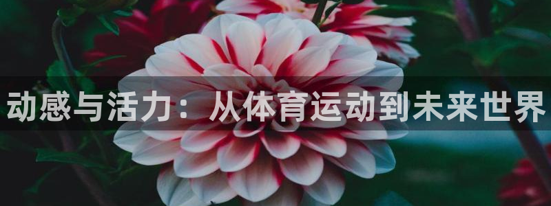 中欧体育最新地址：动感与活力：从体育运动到未来世界