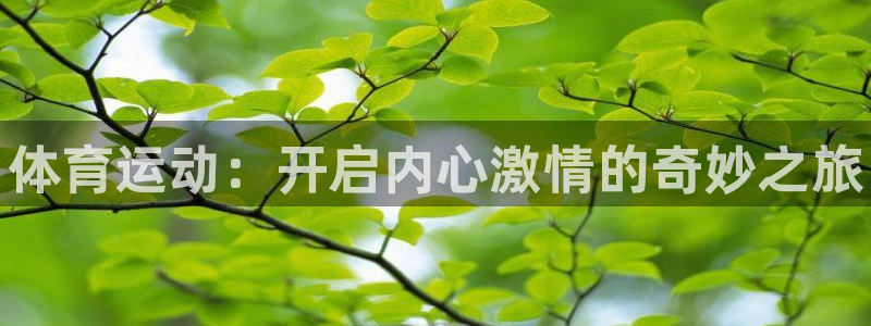 中欧体育网址：体育运动：开启内心激情的奇妙之旅
