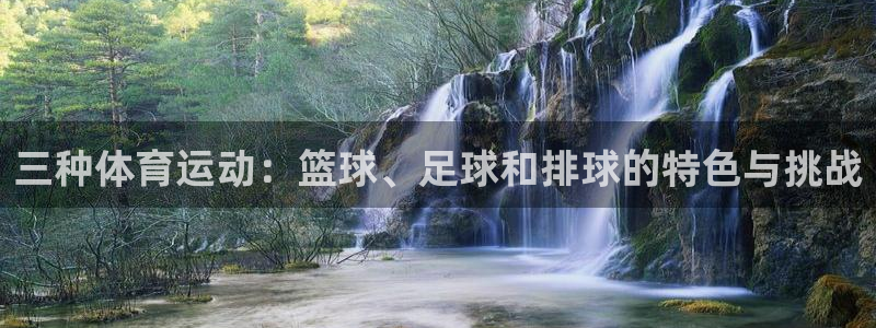 zoty中欧体育平台：三种体育运动：篮球、足球和排球的特色与挑战