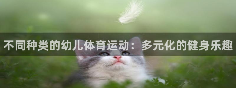 zyty中欧体育平台：不同种类的幼儿体育运动：多元化的健身乐趣